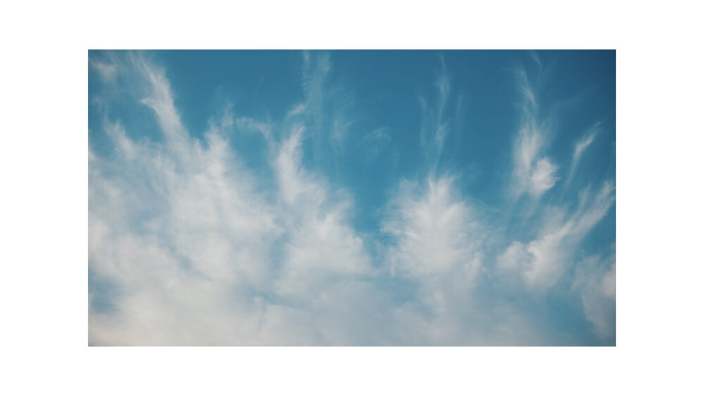 シーケンス 04.00_00_18_14.静止画005