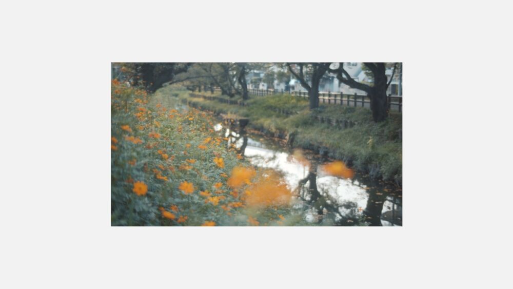 シーケンス 06.00_01_51_04.静止画010